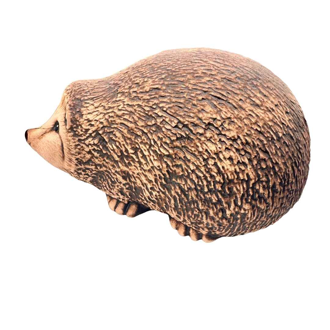 Detailní pohled na ježka Bodloše